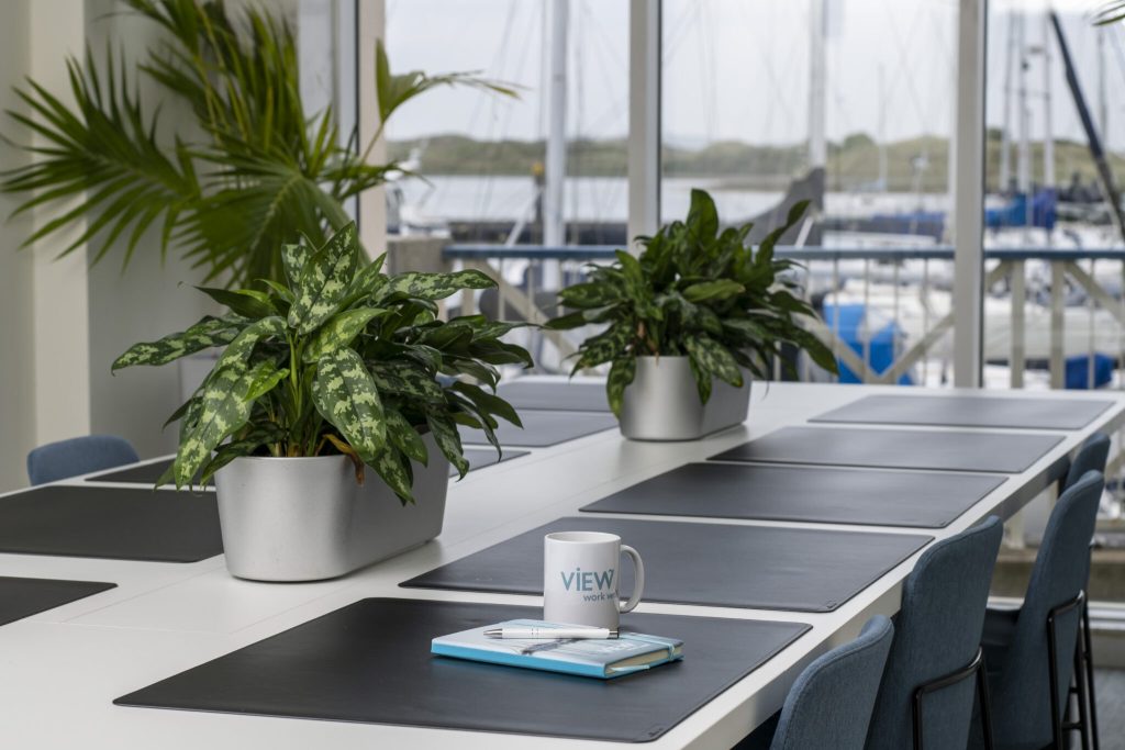 Design Minds studio meeting room overlooking Malahide Marina