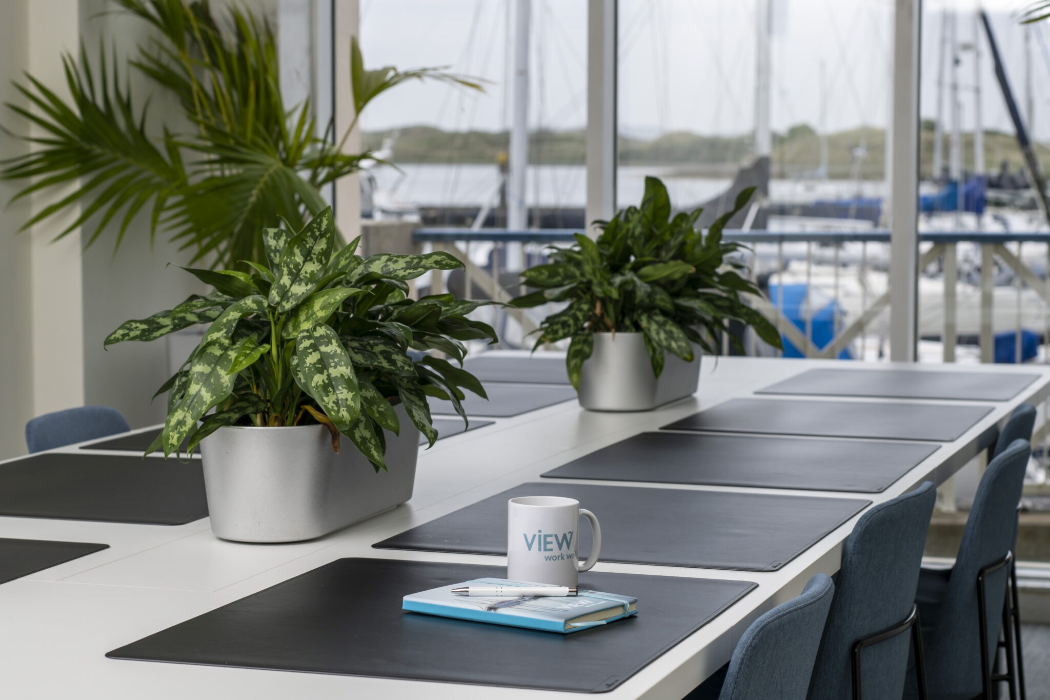 Design Minds studio meeting room overlooking Malahide Marina