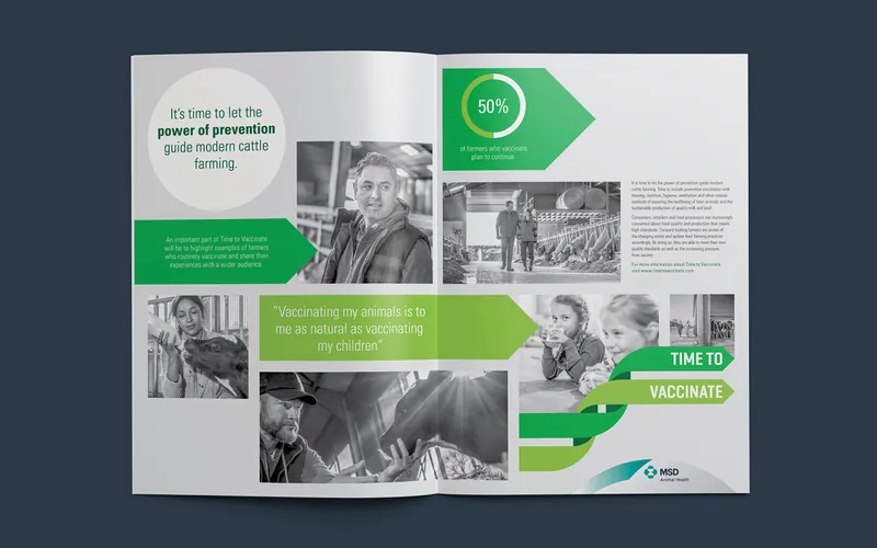 MSD Animal Health Time to Vaccinate brochure, inside spread with farmer stories and a 50 percent statistic