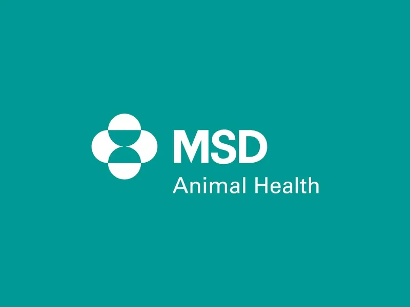 MSD Animal Health work by Design Minds